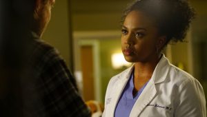 Grey’s Anatomy Saison 13 Episode 22