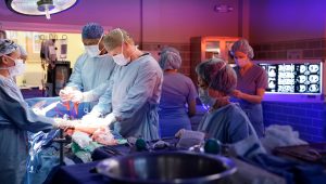 Grey’s Anatomy Saison 13 Episode 8