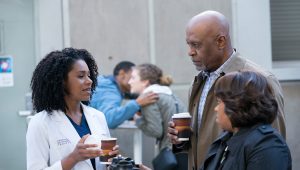 Grey’s Anatomy Saison 14 Episode 15