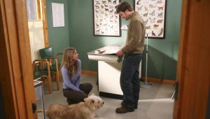 Grey’s Anatomy Saison 2 Episode 23