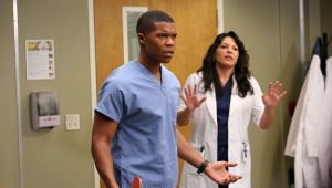 Grey’s Anatomy Saison 9 Episode 11