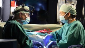 Grey’s Anatomy Saison 9 Episode 5