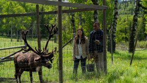 Heartland Saison 10 Episode 3