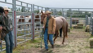 Heartland Saison 10 Episode 3