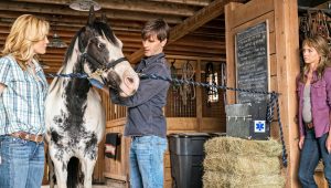 Heartland Saison 10 Episode 4