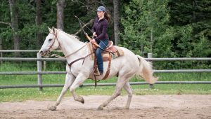 Heartland Saison 10 Episode 6