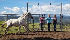 Heartland Saison 10 Episode 9