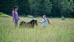 Heartland Saison 10 Episode 9