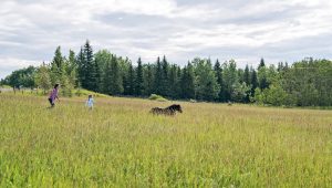 Heartland Saison 10 Episode 9