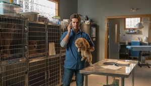 Heartland Saison 11 Episode 14
