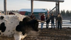 Heartland Saison 11 Episode 18