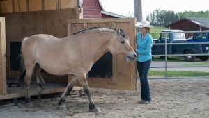Heartland Saison 11 Episode 4