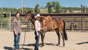 Heartland Saison 11 Episode 8