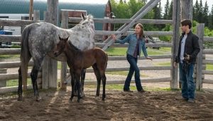 Heartland Saison 12 Episode 1