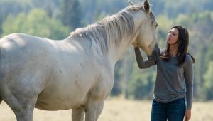 Heartland Saison 12 Episode 10