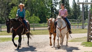 Heartland Saison 12 Episode 5