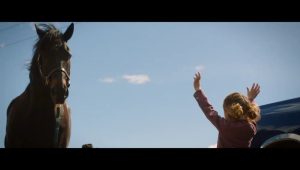 Heartland Saison 16 Episode 1