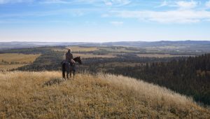 Heartland Saison 18 Episode 3
