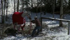 Heartland Saison 3 Episode 1