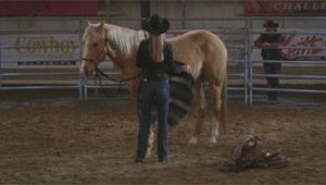Heartland Saison 3 Episode 17