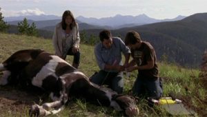 Heartland Saison 3 Episode 9