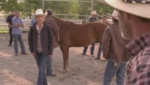 Heartland Saison 4 Episode 8