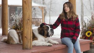 Heartland Saison 6 Episode 15