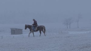 Heartland Saison 6 Episode 18