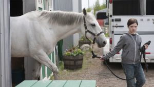 Heartland Saison 6 Episode 2