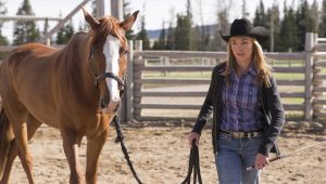 Heartland Saison 7 Episode 1