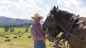 Heartland Saison 7 Episode 5