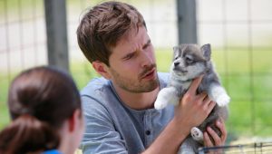 Heartland Saison 8 Episode 5