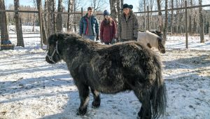 Heartland Saison 9 Episode 17