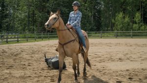 Heartland Saison 9 Episode 5