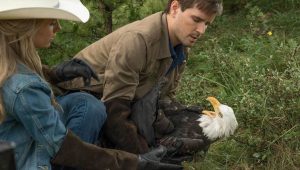 Heartland Saison 9 Episode 6