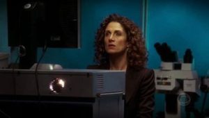 Les Experts : Manhattan Saison 1 Episode 17