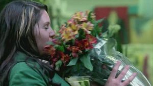 Les Experts : Manhattan Saison 4 Episode 13