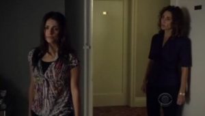 Les Experts : Manhattan Saison 6 Episode 5