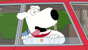 Les Griffin Saison 20 Episode 16