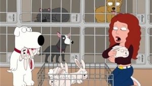 Les Griffin Saison 7 Episode 1