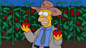 Les Simpson Saison 11 Episode 5