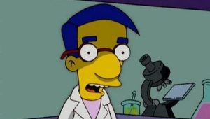 Les Simpson Saison 18 Episode 11
