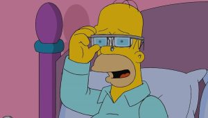 Les Simpson Saison 25 Episode 11