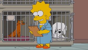 Les Simpson Saison 27 Episode 15