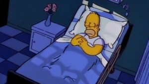 Les Simpson Saison 4 Episode 11