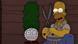 Les Simpson Saison 5 Episode 22