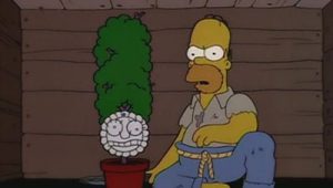 Les Simpson Saison 5 Episode 22