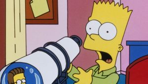 Les Simpson Saison 6 Episode 1