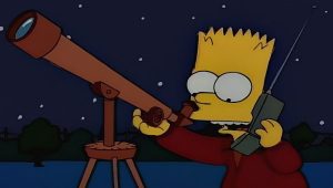 Les Simpson Saison 6 Episode 14