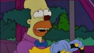 Les Simpson Saison 6 Episode 15